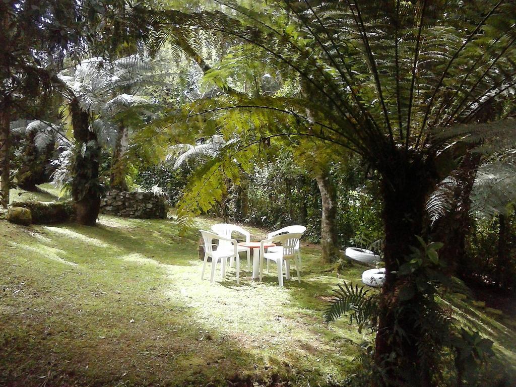 Nanda'S House Pousada Ξενοδοχείο São Francisco de Paula Εξωτερικό φωτογραφία